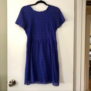 🆕 FREE PEOPLE INDIGO/BLUE LACE SHORT SLEEVE DRESS